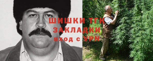 соль ск Алзамай